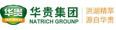 十大菠菜台子